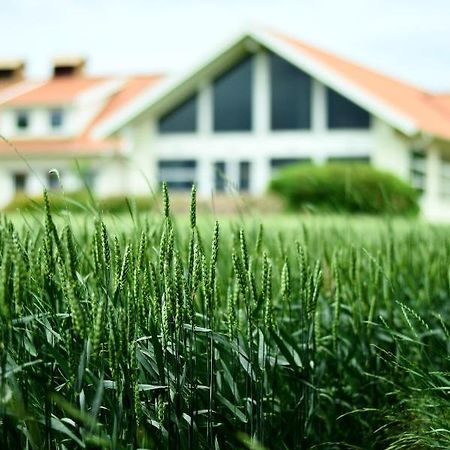Katrinebergs Folkhögskola B&B Vessigebro Exteriör bild